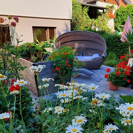 Gaestehaus Daurer Guest house Reinsberg