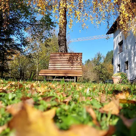 Gaestehaus Daurer 3* Reinsberg