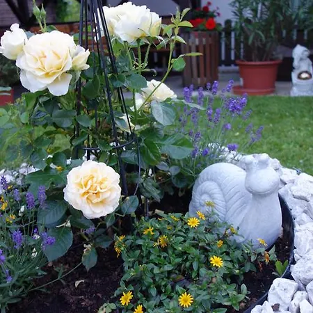 Gaestehaus Daurer 게스트하우스