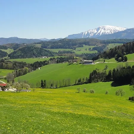 Gaestehaus Daurer Reinsberg