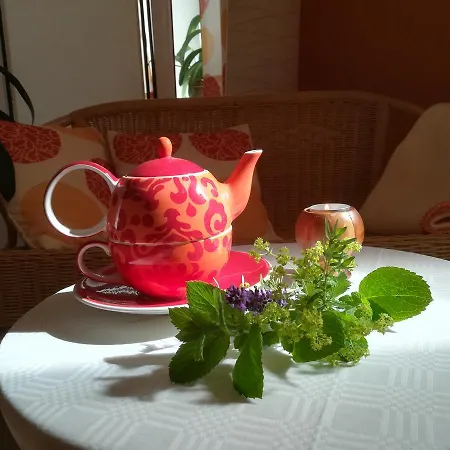 Gaestehaus Daurer Πανσιόν