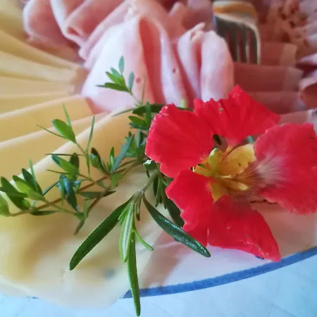 Πανσιόν Gaestehaus Daurer Reinsberg