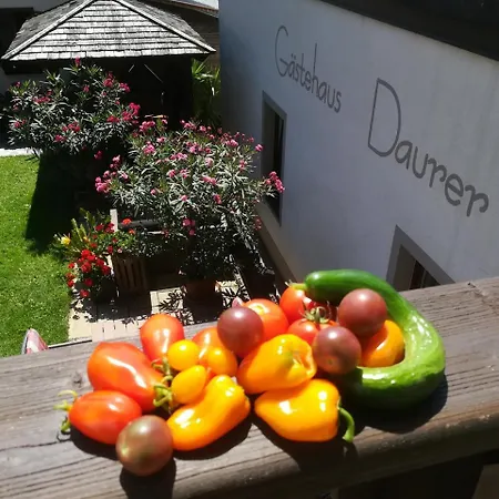 Gaestehaus Daurer 3* Reinsberg