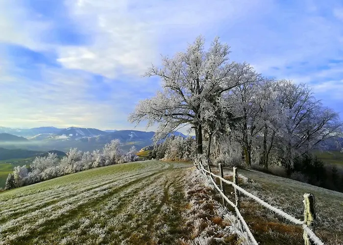 Gaestehaus Daurer Reinsberg