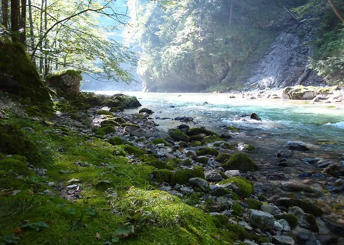 بيت ضيافة Gaestehaus Daurer