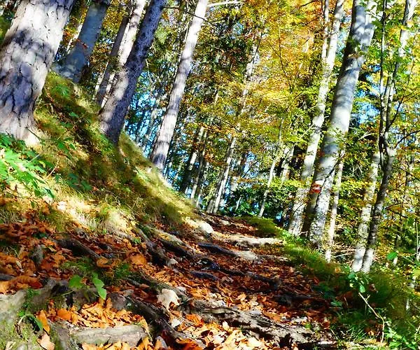 Gaestehaus Daurer 3* Reinsberg