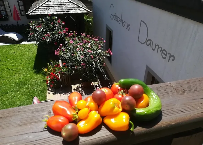 Gaestehaus Daurer 3* Reinsberg